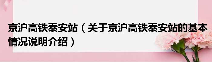 京沪高铁泰安站（关于京沪高铁泰安站的基本情况说明介绍）