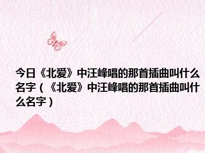 今日《北爱》中汪峰唱的那首插曲叫什么名字（《北爱》中汪峰唱的那首插曲叫什么名字）