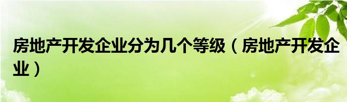  房地产开发企业分为几个等级（房地产开发企业）