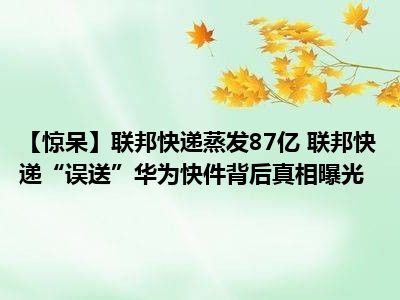 【惊呆】联邦快递蒸发87亿 联邦快递“误送”华为快件背后真相曝光