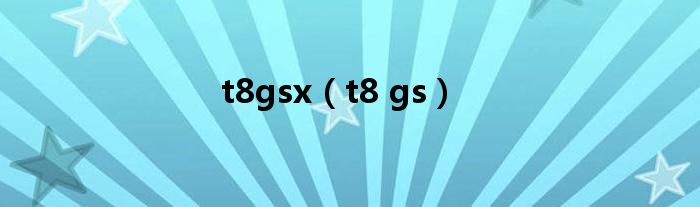  t8gsx（t8 gs）