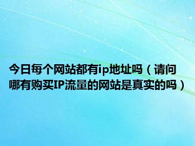 今日每个网站都有ip地址吗（请问哪有购买IP流量的网站是真实的吗）