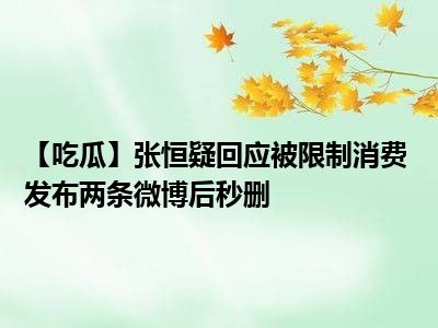 【吃瓜】张恒疑回应被限制消费 发布两条微博后秒删