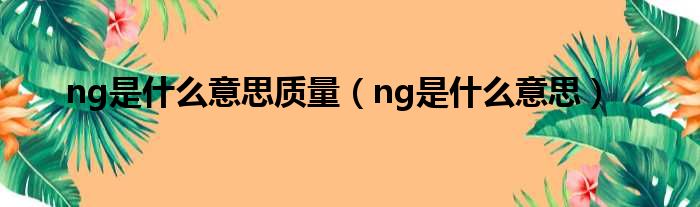 ng是什么意思质量（ng是什么意思）