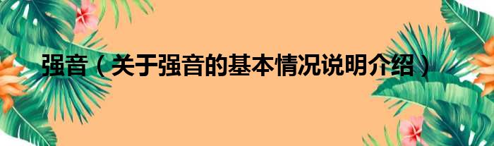 强音（关于强音的基本情况说明介绍）