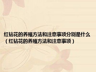 红钻花的养殖方法和注意事项分别是什么（红钻花的养殖方法和注意事项）