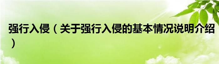 强行入侵（关于强行入侵的基本情况说明介绍）