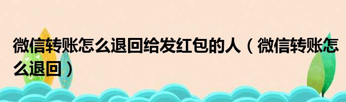 微信转账怎么退回给发红包的人（微信转账怎么退回）