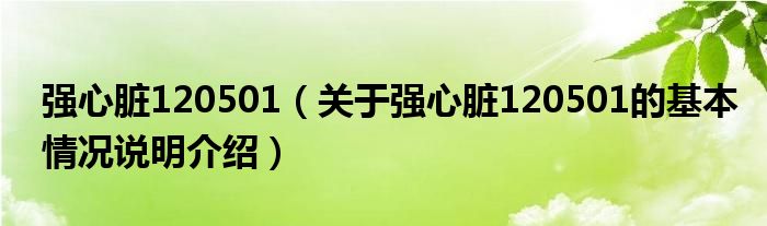 强心脏120501（关于强心脏120501的基本情况说明介绍）