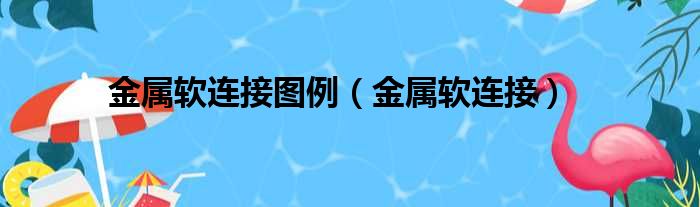 金属软连接图例（金属软连接）