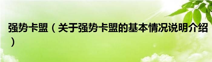 强势卡盟（关于强势卡盟的基本情况说明介绍）