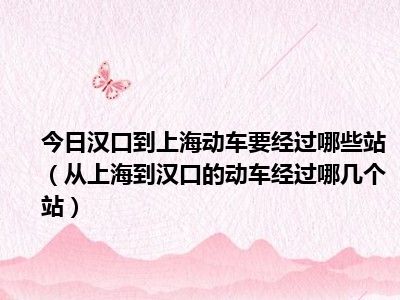 今日汉口到上海动车要经过哪些站（从上海到汉口的动车经过哪几个站）