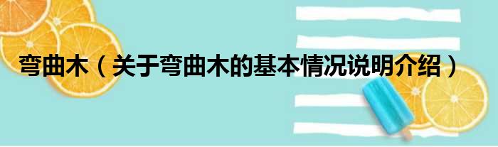 弯曲木（关于弯曲木的基本情况说明介绍）