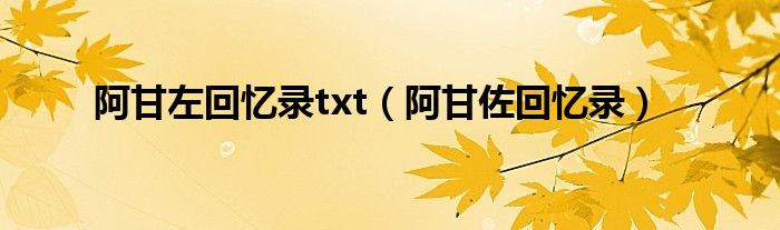  阿甘左回忆录txt（阿甘佐回忆录）