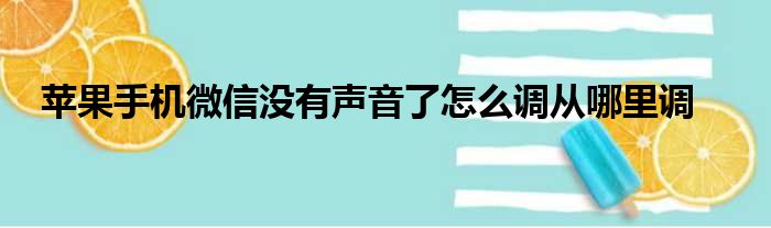 苹果手机微信没有声音了怎么调从哪里调