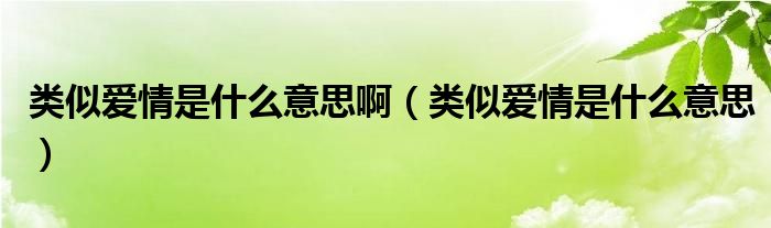  类似爱情是什么意思啊（类似爱情是什么意思）