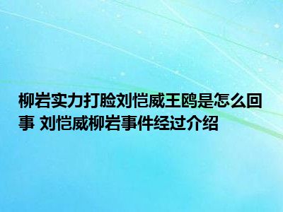 柳岩实力打脸刘恺威王鸥是怎么回事 刘恺威柳岩事件经过介绍