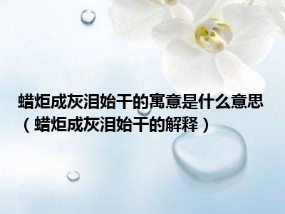 蜡炬成灰泪始干的寓意是什么意思（蜡炬成灰泪始干的解释）