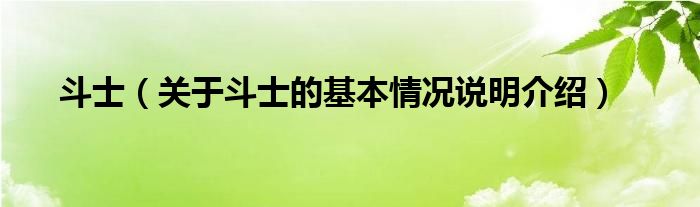 斗士（关于斗士的基本情况说明介绍）