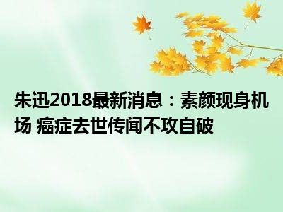 朱迅2018最新消息：素颜现身机场 癌症去世传闻不攻自破