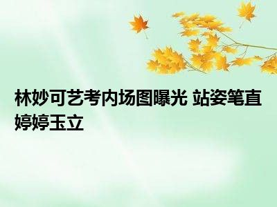 林妙可艺考内场图曝光 站姿笔直婷婷玉立