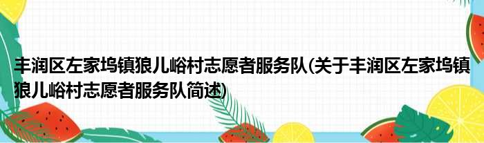 丰润区左家坞镇狼儿峪村志愿者服务队(关于丰润区左家坞镇狼儿峪村志愿者服务队简述)