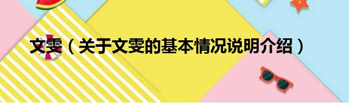 文雯（关于文雯的基本情况说明介绍）