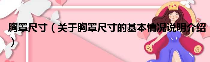 胸罩尺寸（关于胸罩尺寸的基本情况说明介绍）