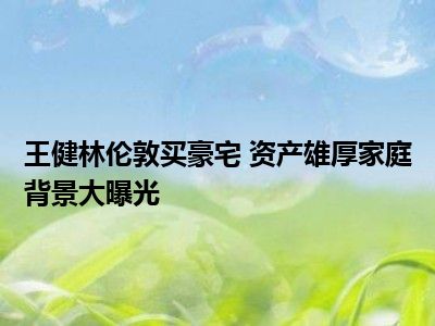 王健林伦敦买豪宅 资产雄厚家庭背景大曝光