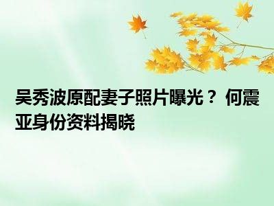 吴秀波原配妻子照片曝光？ 何震亚身份资料揭晓