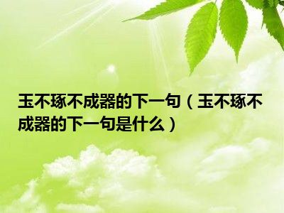 玉不琢不成器的下一句（玉不琢不成器的下一句是什么）