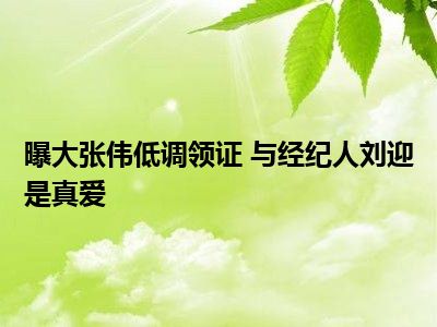 曝大张伟低调领证 与经纪人刘迎是真爱