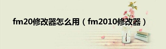  fm20修改器怎么用（fm2010修改器）