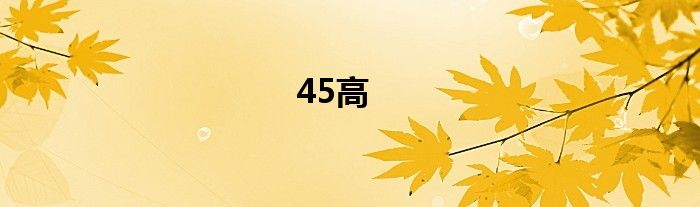  45高