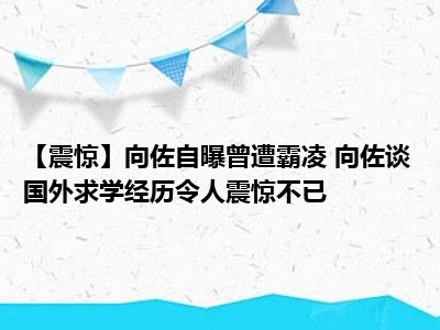 【震惊】向佐自曝曾遭霸凌 向佐谈国外求学经历令人震惊不已