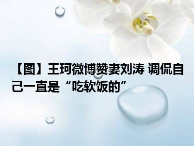 【图】王珂微博赞妻刘涛 调侃自己一直是“吃软饭的”