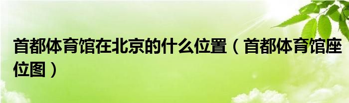  首都体育馆在北京的什么位置（首都体育馆座位图）