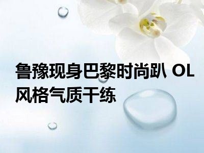 鲁豫现身巴黎时尚趴 OL风格气质干练