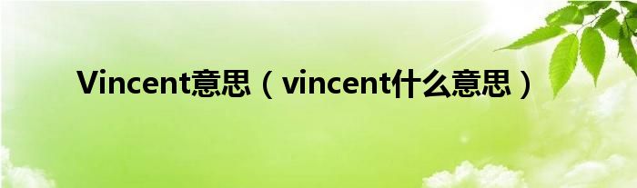  Vincent意思（vincent什么意思）