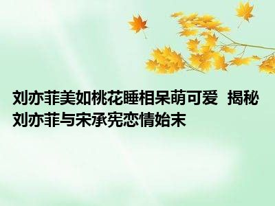 刘亦菲美如桃花睡相呆萌可爱  揭秘刘亦菲与宋承宪恋情始末