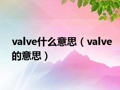 valve什么意思（valve的意思）