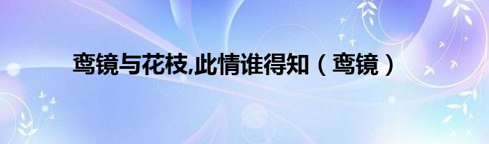  鸾镜与花枝 此情谁得知（鸾镜）