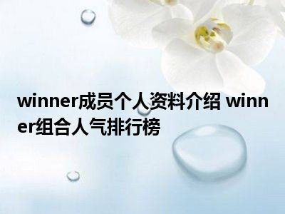 winner成员个人资料介绍 winner组合人气排行榜