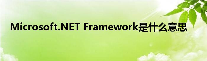  Microsoft.NET Framework是什么意思