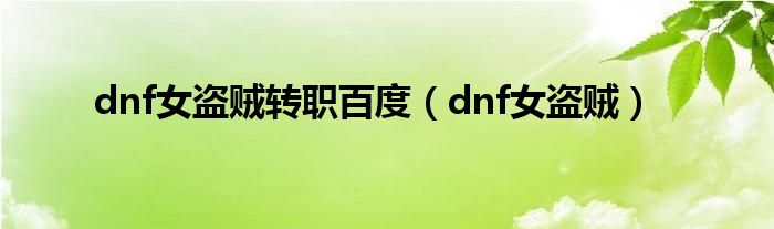  dnf女盗贼转职百度（dnf女盗贼）