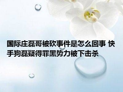 国际庄磊哥被砍事件是怎么回事 快手狗磊疑得罪黑势力被下击杀