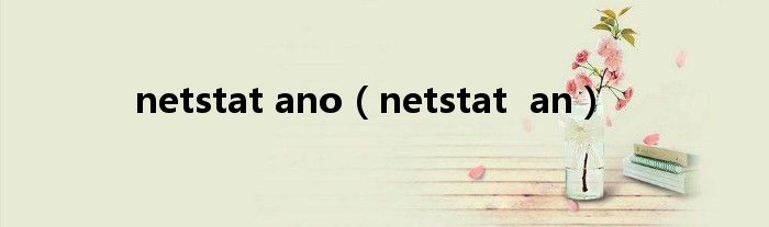  netstat ano（netstat  an）