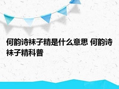 何韵诗袜子精是什么意思 何韵诗袜子精科普