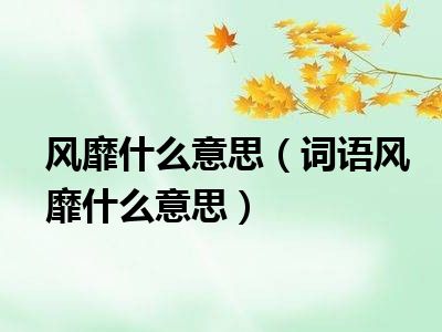 风靡什么意思（词语风靡什么意思）