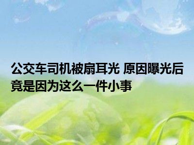 公交车司机被扇耳光 原因曝光后竟是因为这么一件小事